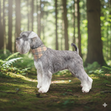 Bandana chien & chouchou assorti – Duo stylé chien & humain