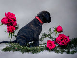 Collier Red Flower